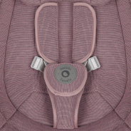 Lionelo Blossom Pink Mauve — Elektrische Babywippe