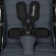 Lionelo Iva Grey Graphite — Buggy