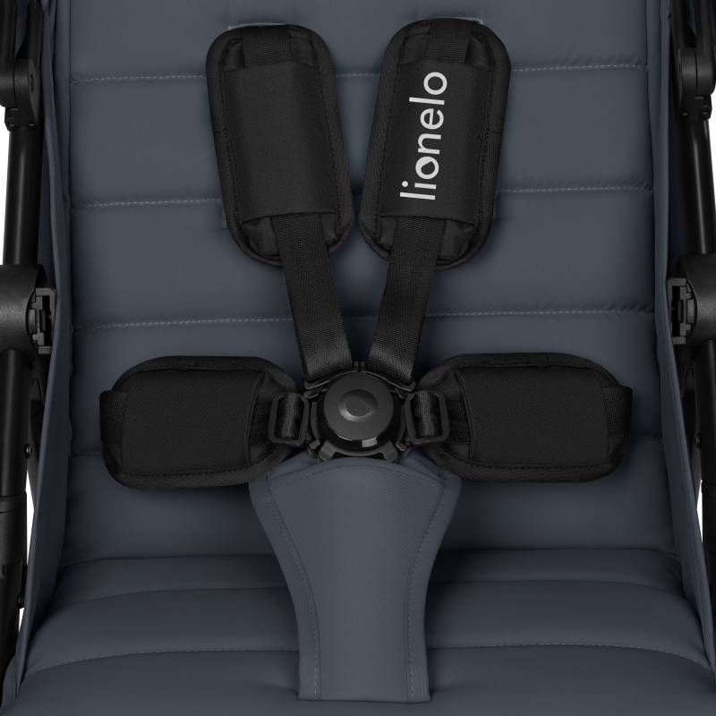 Lionelo Iva Grey Graphite — Buggy