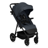 Lionelo Iva Grey Graphite — Buggy