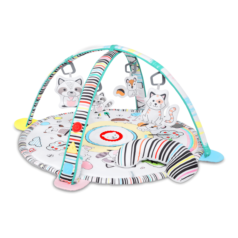 Lionelo Paula Plus Multicolor — Lehrmatte