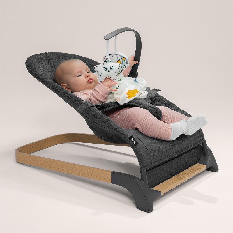 Lionelo June Air Grey Graphite — Babywippe