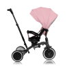 Lionelo Tris Plus Pink Rose — Dreirad